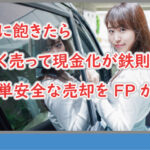 車に飽きたら